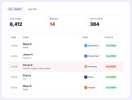Audit usage screenshot